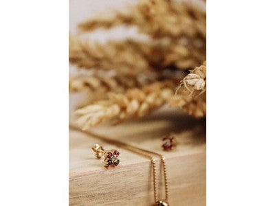 14k Yellow Gold Ruby & Diamonds Earrings