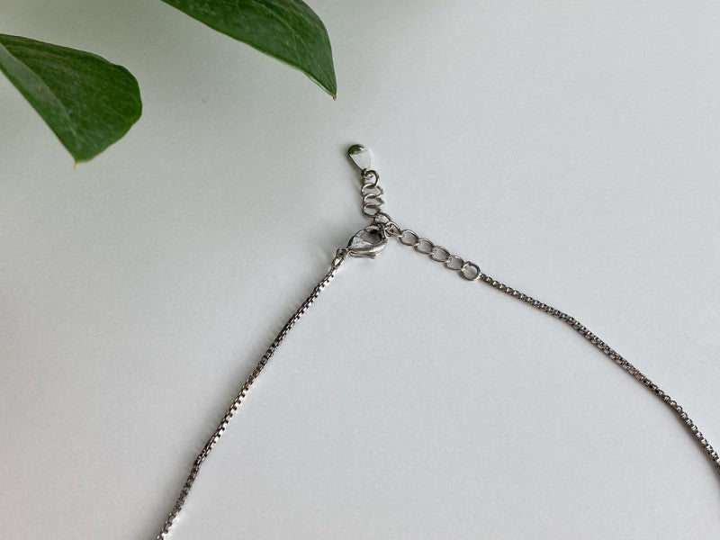 925 Sterling Silver "Aries" ?Hain With Pendant