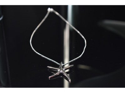 925 Sterling Silver "Starfish" Chain With Pendant