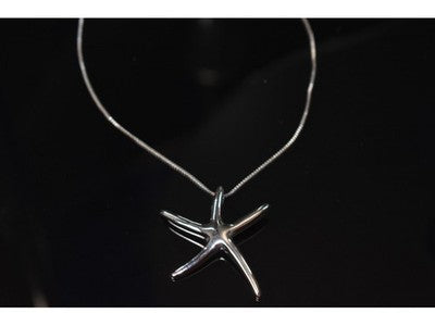 925 Sterling Silver "Starfish" Chain With Pendant