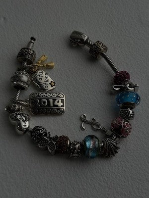Donatella 925 Sterling Silver 19 Charms Bracelet