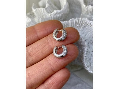 925 Sterling Silver CZ Earrings