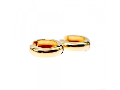 925 Sterling Silver Gold Plated Earrings