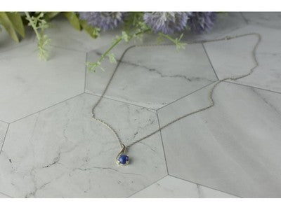 14K White Gold Sapphire Blue Star Chain With Pendant