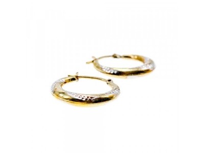 925 Sterling Silver Gold Plated (10K) Earrings