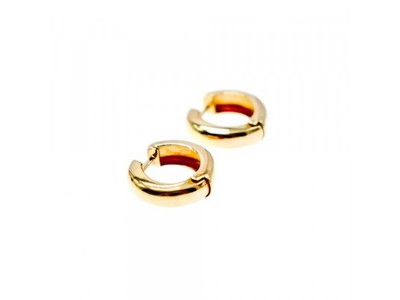 925 Sterling Silver Gold Plated Earrings