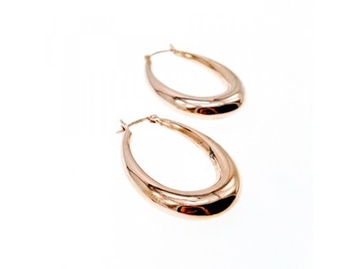 925 Sterling Silver Gold Plated Earrings