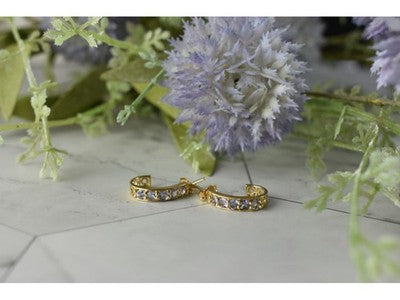 14K Yellow Gold Tanzanite Earrings