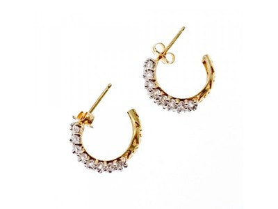 14K Yellow Gold CZ Shine Earrings