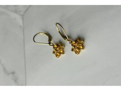 10K Yellow Gold Heliodor Flowers Earrings
