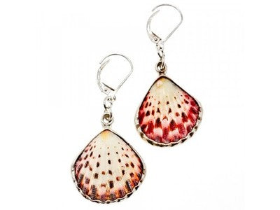 925 Sterling Silver Shells Earrings