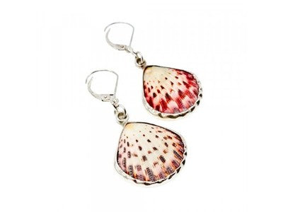 925 Sterling Silver Shells Earrings