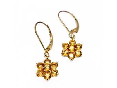 10K Yellow Gold Heliodor Flowers Earrings