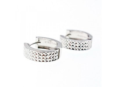925 Sterling Silver Earrings
