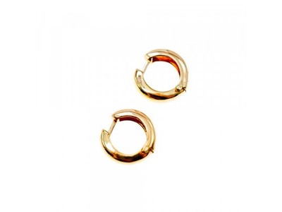 925 Sterling Silver Gold Plated Earrings