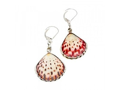925 Sterling Silver Shells Earrings