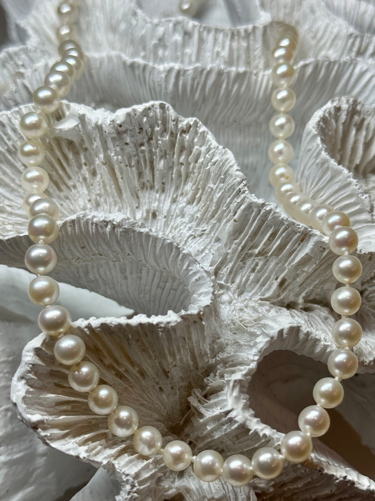 14K Yellow Gold Claps Fresh Water Pearl Necklace 18 Inch