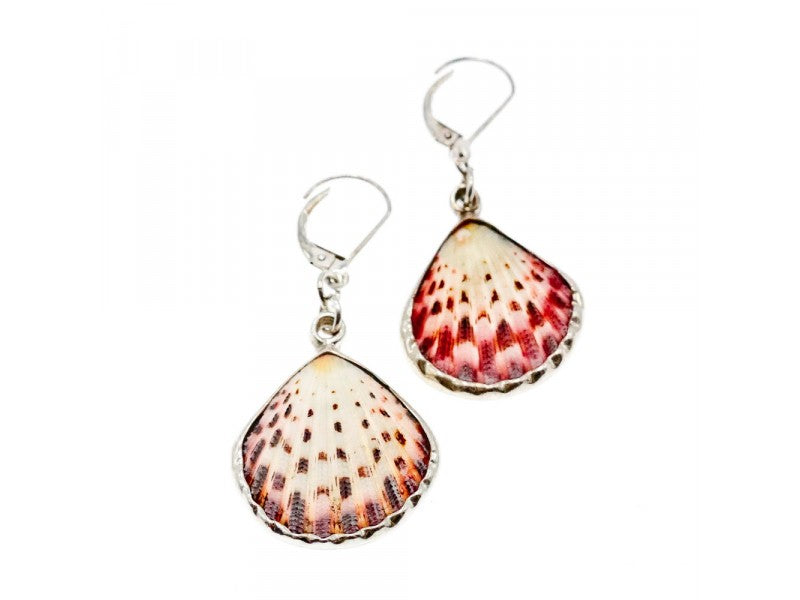 925 Sterling Silver Shells Earrings