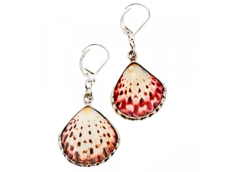 925 Sterling Silver Shells Earrings