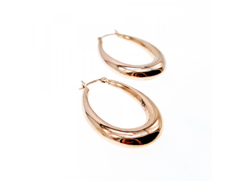925 Sterling Silver Gold Plated Earrings