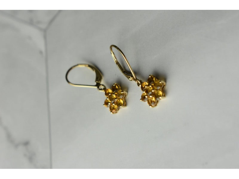 10K Yellow Gold Heliodor Flowers Earrings