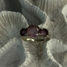 925 Sterling Silver Beautiful Amethyst Ring Size 10