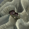 925 Sterling Silver Beautiful Amethyst Ring Size 10