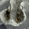 925 Sterling Silver With Gold Plated Part Earrings Length 1 Inch