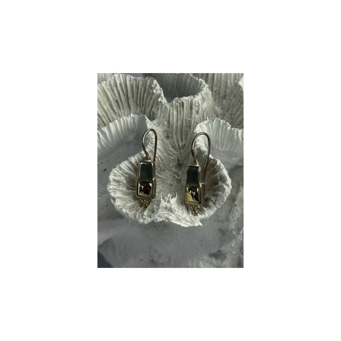 925 Sterling Silver With Gold Plated Part Earrings Length 1 Inch