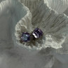 925 Sterling Silver Amethyst Earrings Length 0.25 Inch