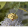 14K Yellow Gold Ruby & Quartz 