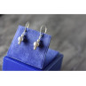 925 Sterling Silver Earrings