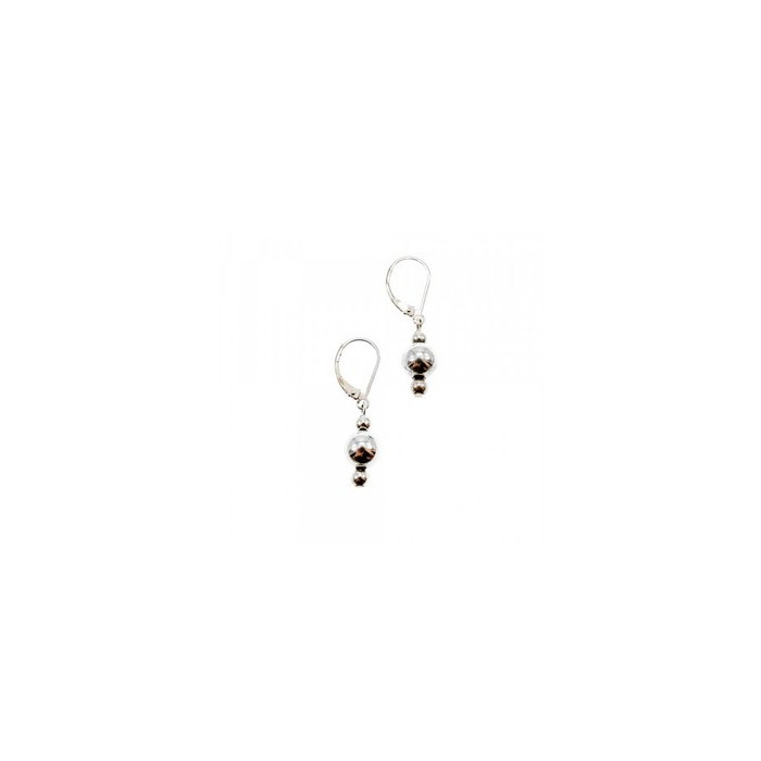 925 Sterling Silver Earrings