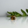Vintage 925 Sterling Silver Heliodor Ring Size 6.75