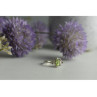 925 Sterling Silver Peridot & CZ Ring Size 7