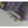 925 Sterling Silver Peridot & CZ Ring Size 7