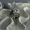 Shiny 925 Sterling Silver CZ Ring Size 9