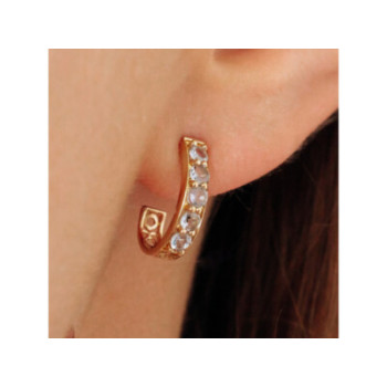 14K YELLOW GOLD TANZANITE EARRINGS