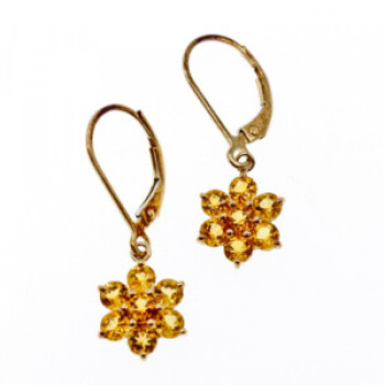 10K Yellow Gold Heliodor Flowers Earrings