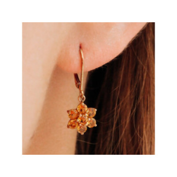 10K YELLOW GOLD HELIODOR FLOWERS EARRINGS