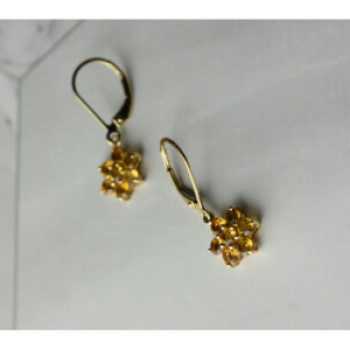 10K Yellow Gold Heliodor Flowers Earrings