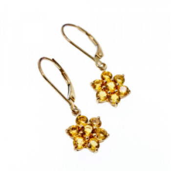 10K Yellow Gold Heliodor Flowers Earrings