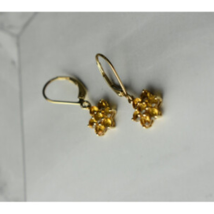 10K Yellow Gold Heliodor Flowers Earrings