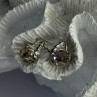 925 Sterling Silver Mystic Topaz Earrings Length 0.60 Inch