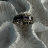 925 Sterling Silver Amethyst & Marcasite Ring Size 6