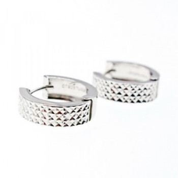 925 Sterling Silver Earrings