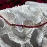 925 Sterling Silver Gold Plated Ruby Bracelet Length 7.5