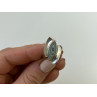 925 Sterling Silver Haliotis Ring Size 6.5