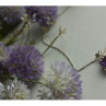 925 Sterling Silver Purple Tourmaline & Goshenite Chain With Pendant