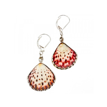 925 Sterling Silver Shells Earrings